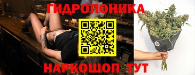 мдпв Аргун