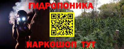 мдпв Аргун