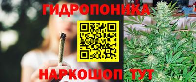 мдпв Аргун