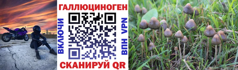 Псилоцибиновые грибы Cubensis  МЕГА вход  Великий Новгород  магазин   