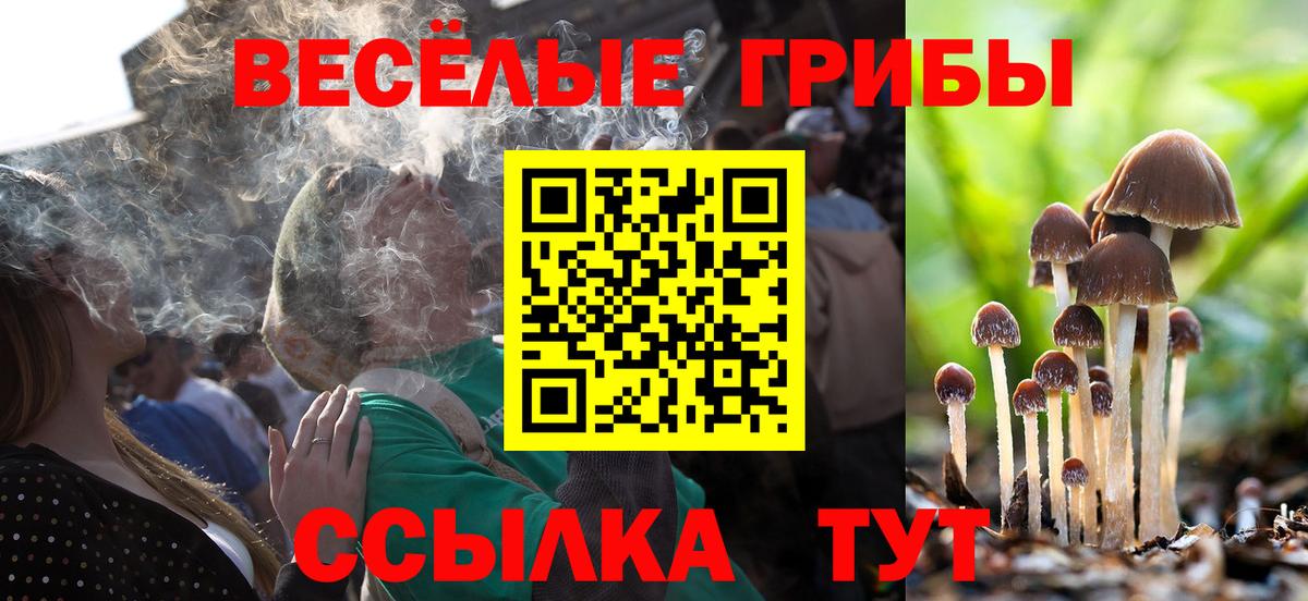 Галлюциногенные грибы GOLDEN TEACHER Великий Новгород