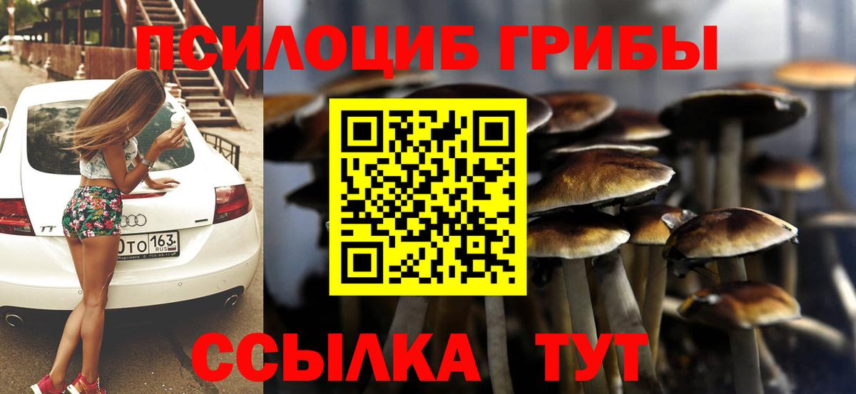 как найти закладки  Великий Новгород  Псилоцибиновые грибы Magic Shrooms 