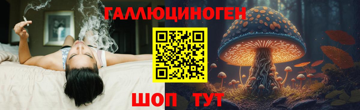 Псилоцибиновые грибы GOLDEN TEACHER  Вход с VPN  Псилоцибиновые грибы мицелий  Великий Новгород 